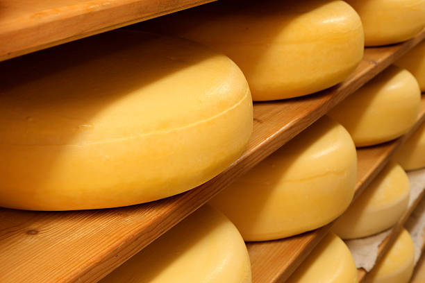 istock cheeses on the shelves at a dairy farm 174836782