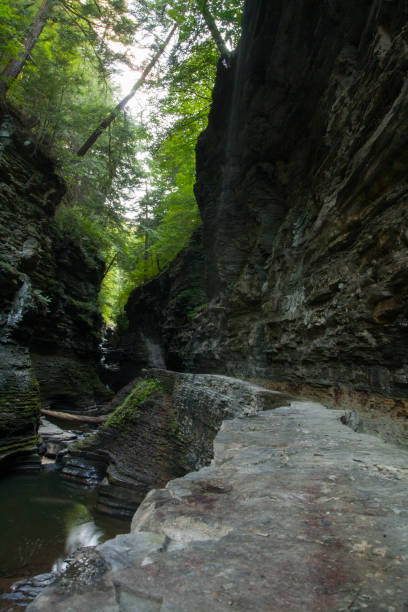 istock Watkins Glen State Park, New York 1748368533