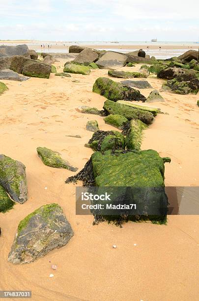 Atlantic Beach Stockfoto und mehr Bilder von Alge - Alge, Atlantik, Europa - Kontinent
