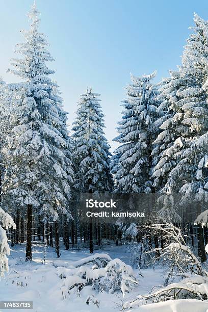 Foto de Floresta De Inverno e mais fotos de stock de Alemanha - Alemanha, Azul, Cena Não-urbana