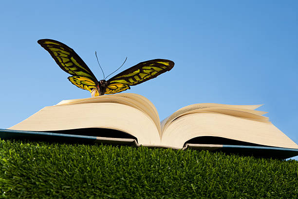istock Butterfly's spread wings matching a book’s open pages 174837506