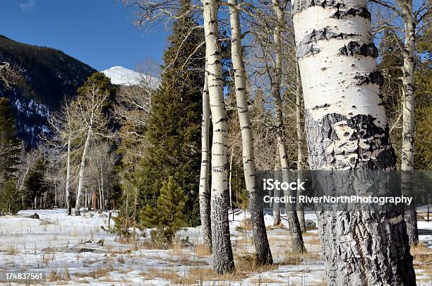 ロッキーマウンテン国立公園の冬 - コロラド州のストックフォトや画像を多数ご用意 - コロラド州, 山, アメリカ合衆国