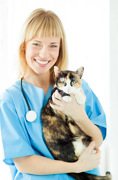 istock Female Vet Care About Cat. 174837615