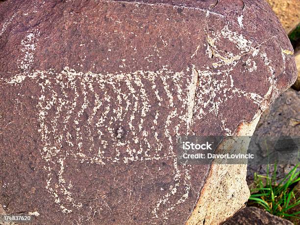 Pecora - Fotografie stock e altre immagini di Ambientazione esterna - Ambientazione esterna, Area ricreativa nazionale Three Rivers Petroglyph, Composizione orizzontale