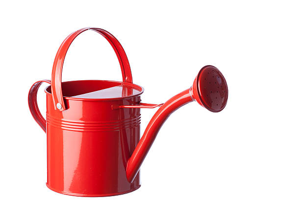 Red Watering Can On White Background stock photo