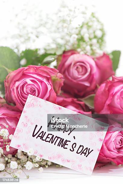 Pink Roses Con Una Tarjeta De San Valentín Foto de stock y más banco de imágenes de Amor - Sentimiento - Amor - Sentimiento, Blanco - Color, Brote