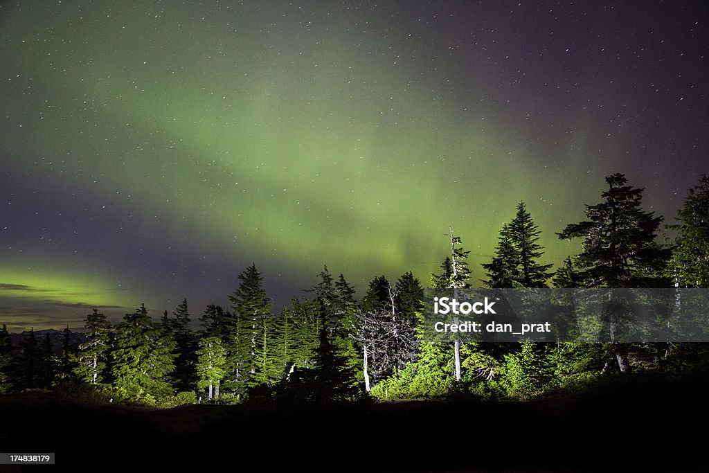 Northern Lights - Zbiór zdjęć royalty-free (Arktyka)