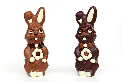 Two chocolate rabbits for easter, please see also my other images of easter eggs in my lightbox: