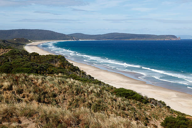 istock Wild, windswept coastline with rocky headland 174838796