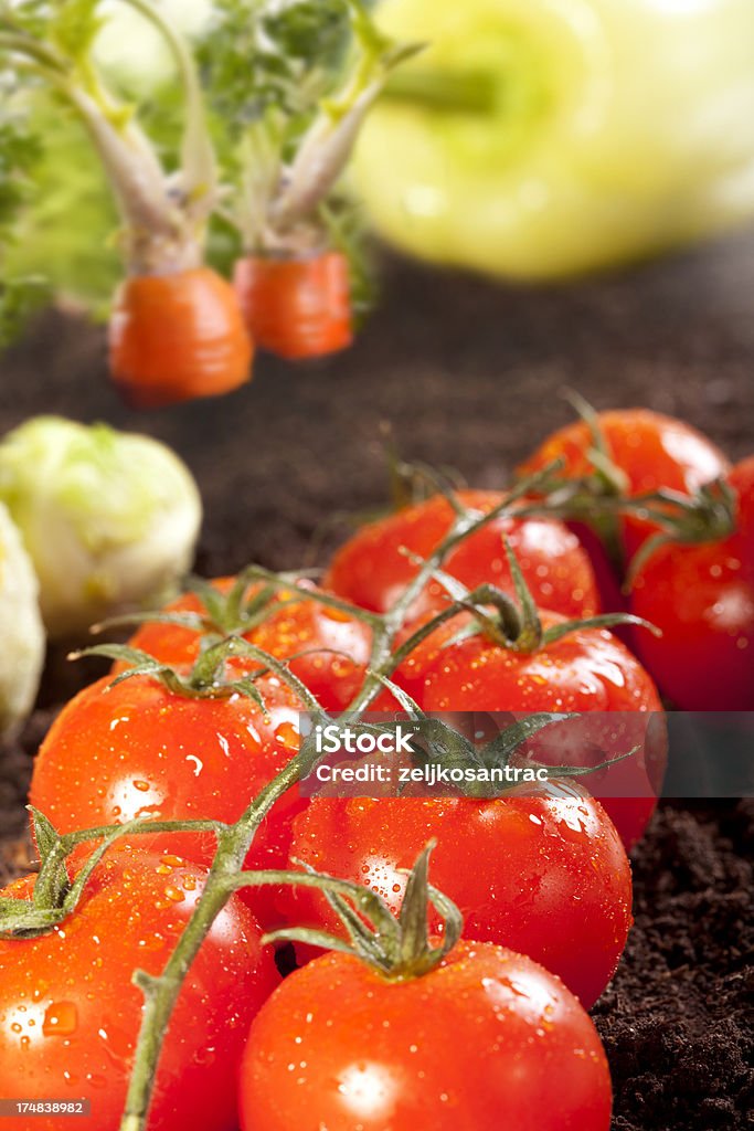 Świeże warzywa - Zbiór zdjęć royalty-free (Bez ludzi)