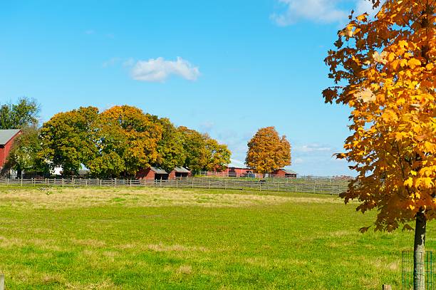 istock Pennsylvania farmland 174839011