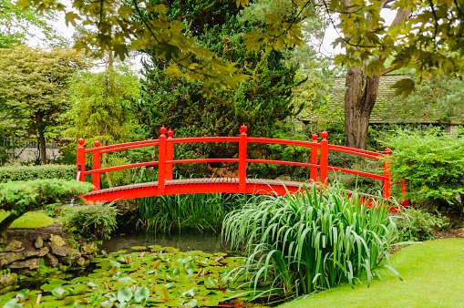 Red bridge over a pond in a public park