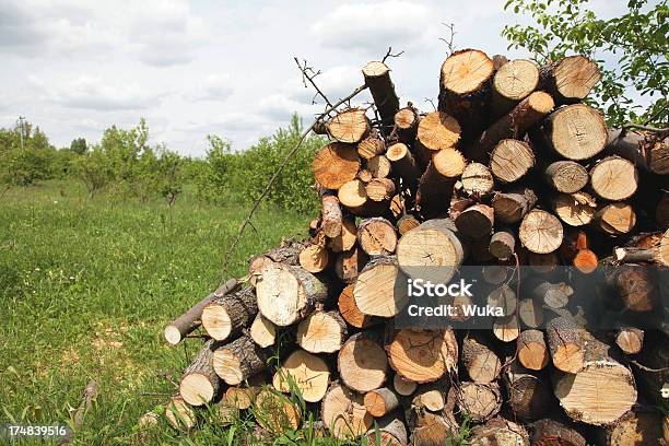 Impilati Log - Fotografie stock e altre immagini di Agricoltura - Agricoltura, Albero, Ambientazione esterna