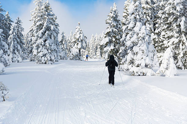 istock Ski runner on a beautiful winter day....Rogla,Slovenia 174839691