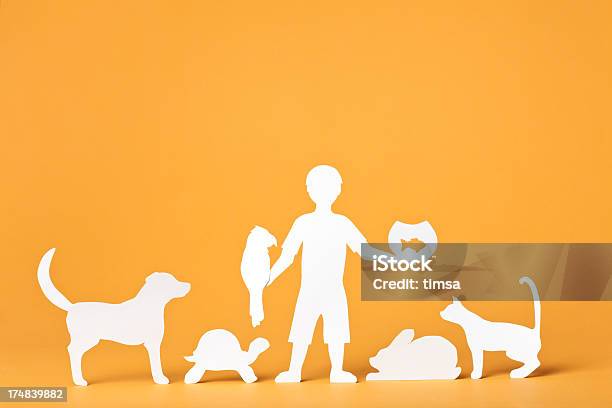 Conceito De Papeldr Doolittle - Fotografias de stock e mais imagens de Cão - Cão, Coelho - Animal, Gato domesticado