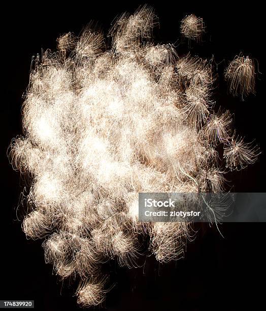 Photo libre de droit de Feu Dartifice banque d'images et plus d'images libres de droit de 4 juillet - 4 juillet, Beauté, Bonheur