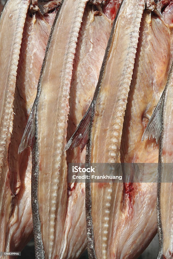 Corte fundo de peixe fresco - Foto de stock de Animal royalty-free