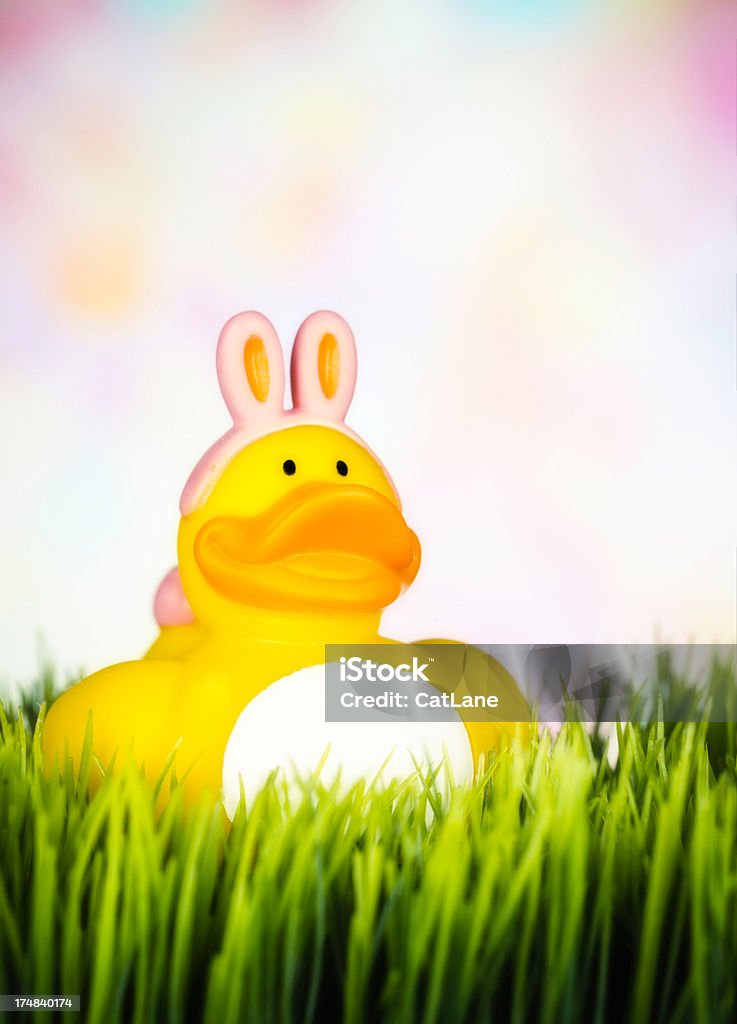 Chica de Pascua Ducky en hierba - Foto de stock de Amarillo - Color libre de derechos
