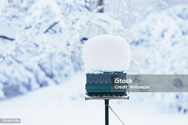 Schneesturm Vogelfutterspender Stockfoto und mehr Bilder von Eingefroren - Eingefroren, Fotografie, Haufen