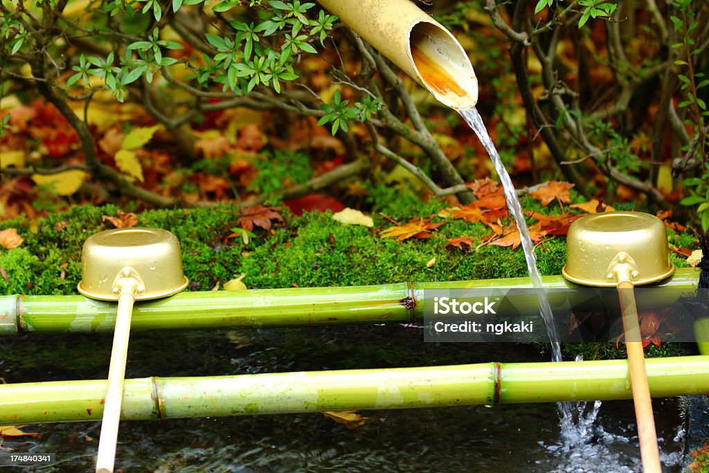 Otoño fuente de bambú - Foto de stock de Bambú - Material libre de derechos
