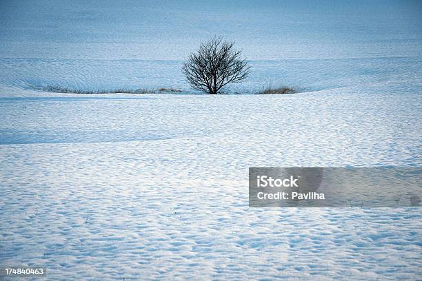 Árbol En La Nieve Eslovenia Foto de stock y más banco de imágenes de Agujero - Agujero, Aire libre, Aislado