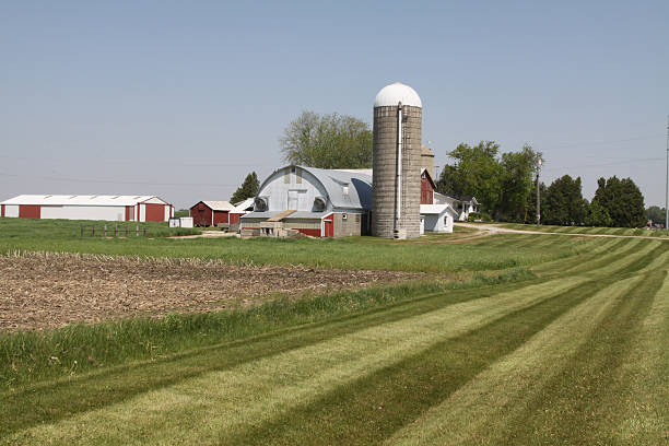 istock Well Groomed Dairy Farm 174840513