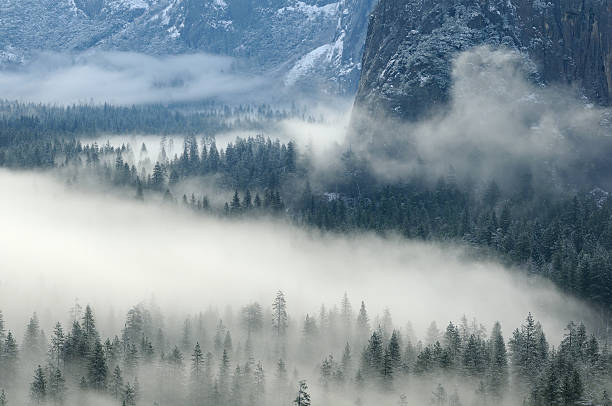 istock Misty morning in Yosemity Valley 174840690