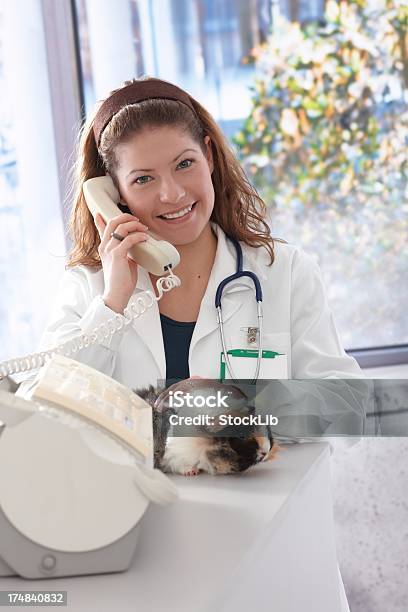 若い女性の獣医の電話 - 獣医のストックフォトや画像を多数ご用意 - 獣医, 電話を使う, 受付係