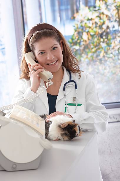 Young female veterinarian on the phone stock photo