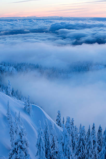 nieve cubiertos de árboles en mt. seymour - mt seymour provincial park fotografías e imágenes de stock