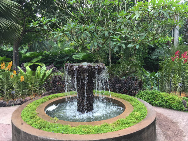 istock Singapore Botanic Gardens 1748410884