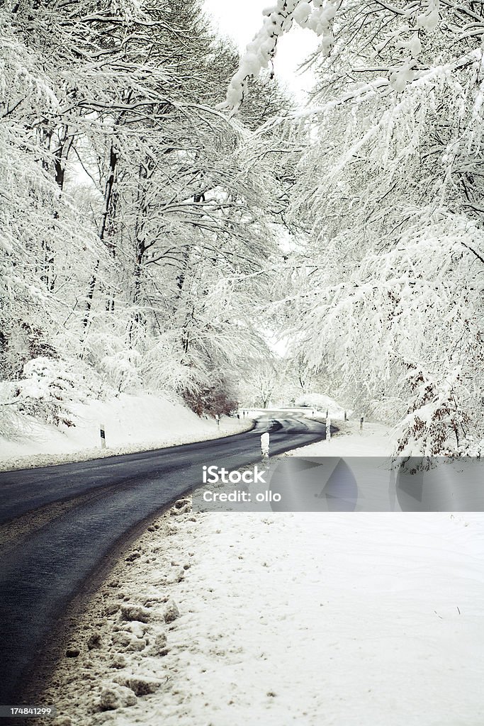 엠티 임산 road, hoar frost-나무, 선택적 집중입니다 - 로열티 프리 0명 스톡 사진