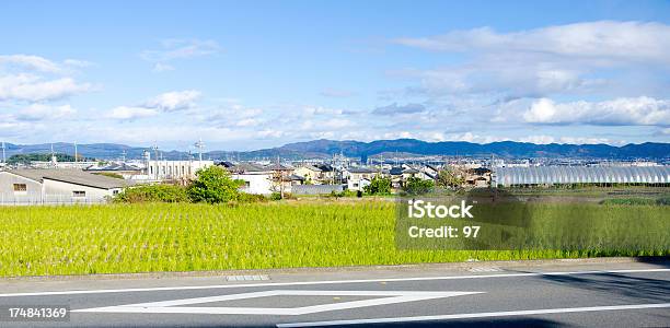 Ricefield Nagaokakyo Kyoto Japan Stockfoto und mehr Bilder von Japan - Japan, Agrarbetrieb, Natur
