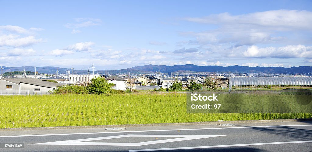 Ricefield Nagaokakyo, Kyoto, Japonia. - Zbiór zdjęć royalty-free (Japonia)