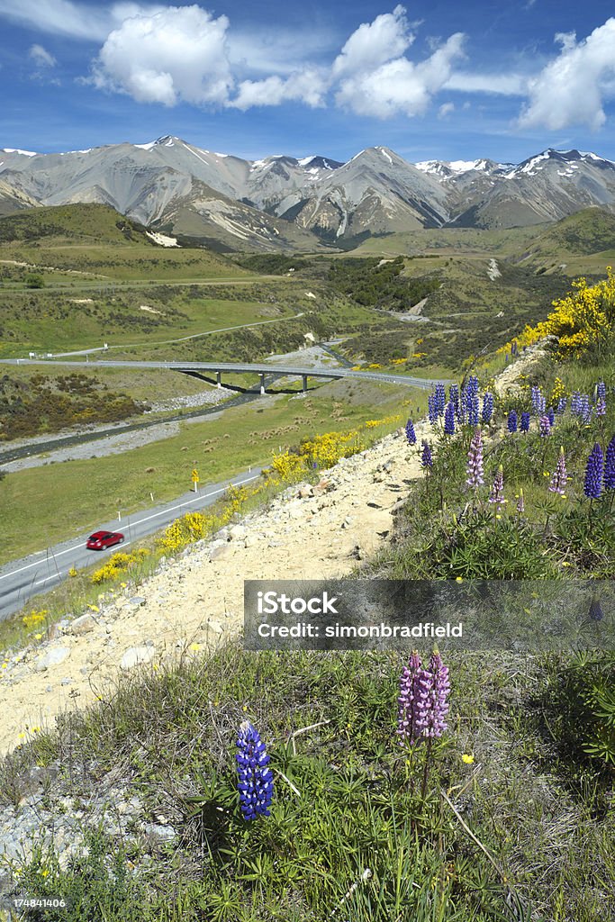 Parque nacional de Arthur's Pass, Nova Zelândia - Royalty-free Cena Não Urbana Foto de stock