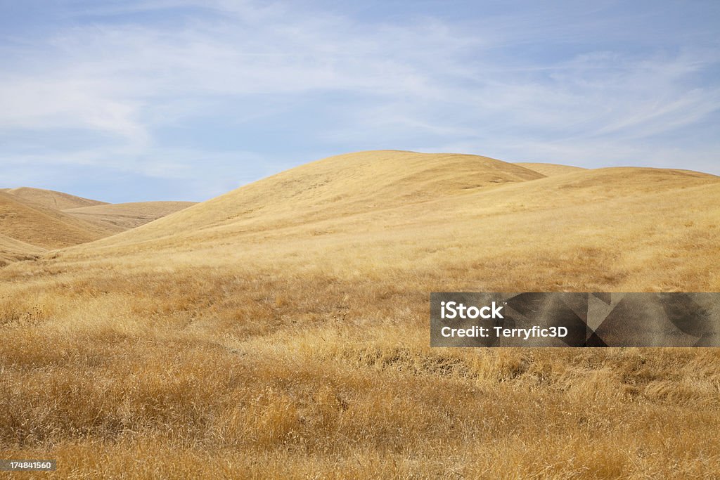 Golden California Hills - Lizenzfrei Anhöhe Stock-Foto