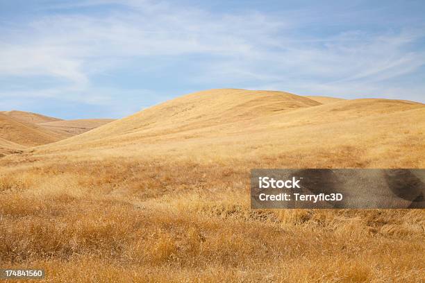 Golden California Hills Stockfoto und mehr Bilder von Anhöhe - Anhöhe, Goldfarbig, Kalifornien