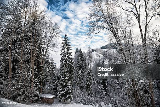 Swiss Foresta Di Inverno Con Cielo Nuvoloso - Fotografie stock e altre immagini di Abete - Abete, Albero, Alpi