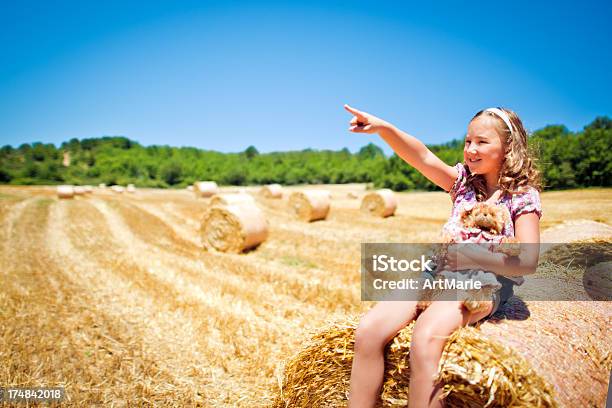 Rapariga A Apontar Para O Céu - Fotografias de stock e mais imagens de 8-9 Anos - 8-9 Anos, Alegria, Ao Ar Livre