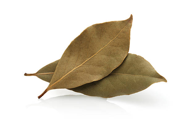 getrocknete bay leaf - laurel bay leaf leav stock-fotos und bilder