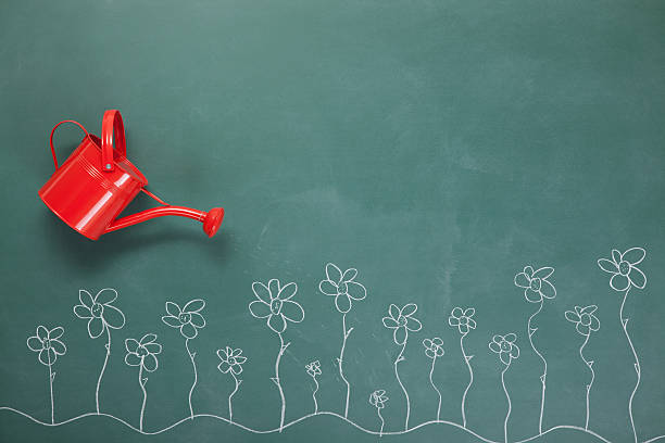 istock Watering can and flowers on blackboard 174842265