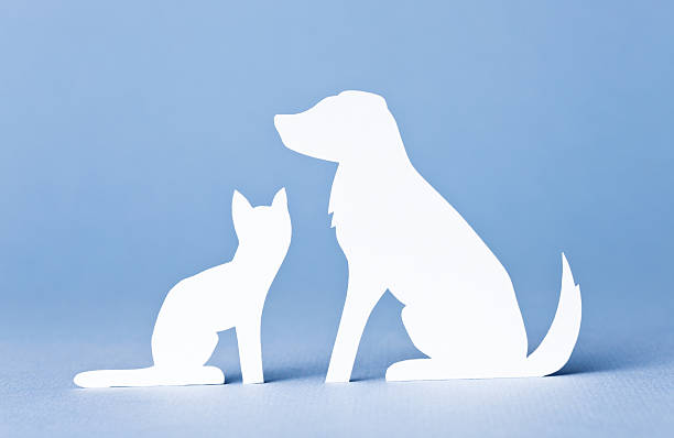 Paper concept of a dog and a cat.