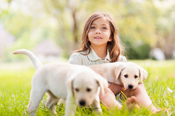istock Girl Playing With Dogs 174842723
