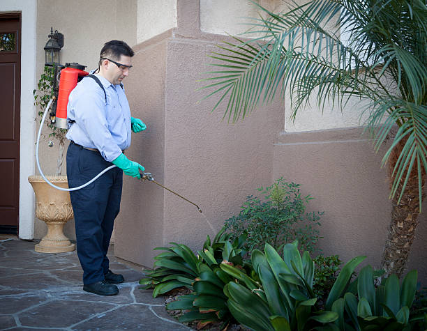 Pest Control Man treating house for pest control. Professional exterminator. backpack sprayer stock pictures, royalty-free photos & images