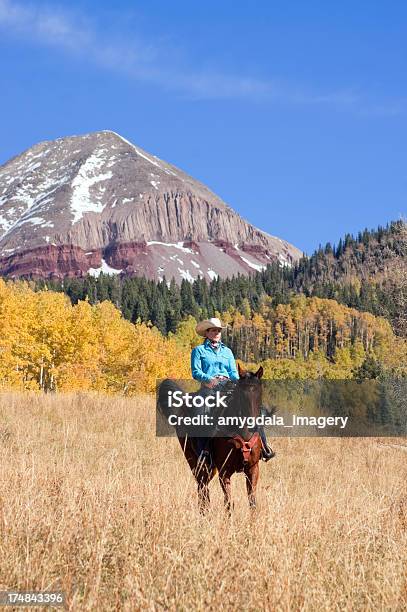 Rocky Mountain Kowbojka Krajobraz - zdjęcia stockowe i więcej obrazów Durango - Stan Kolorado - Durango - Stan Kolorado, Stan Kolorado, Góry Skaliste