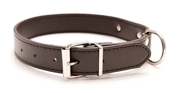 Photo of A brown leather dog collar with metal accents