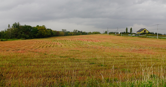 Grass field at autumn in Biei, Hokkaido, Japan. Biei is a small town surrounded by a picturesque landscape of gently rolling hills and vast fields.