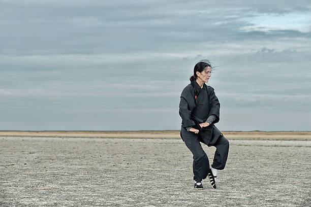 qi gong - martial arts qi gong chinese culture solitude photos et images de collection