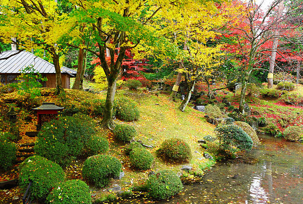 istock autumn japan garden 174844579
