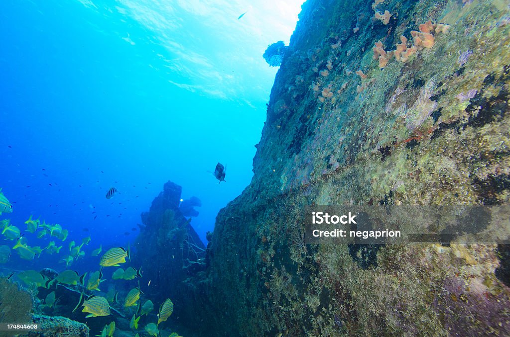 Shipwreck A shipwreck in the Florida Keys. Shipwreck Stock Photo